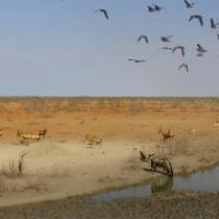 Namibia – Vielfalt für Einsteiger