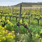 Navarra - B&T Flugreisen GbR - Beatrice Berger + Thomas Koschig GbR Navarra - B&T Flugreisen GbR - Beatrice Berger + Thomas Koschig GbR