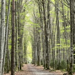 Navarra - B&T Flugreisen GbR - Beatrice Berger + Thomas Koschig GbR Navarra - B&T Flugreisen GbR - Beatrice Berger + Thomas Koschig GbR