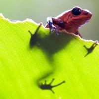 Costa Rica