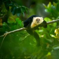 Costa Rica, Versteckte Paradiese